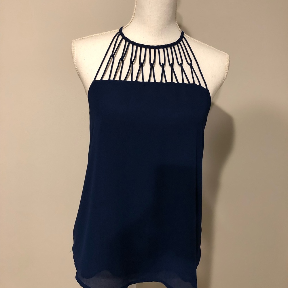 Naked Zebra Top